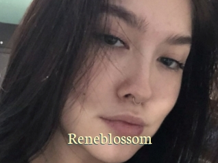 Reneblossom