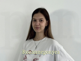 Rozannegonyea