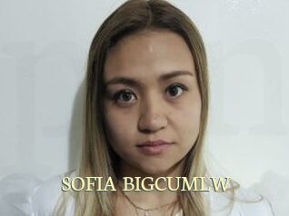 SOFIA_BIGCUMLW