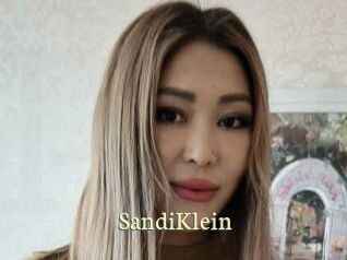 SandiKlein