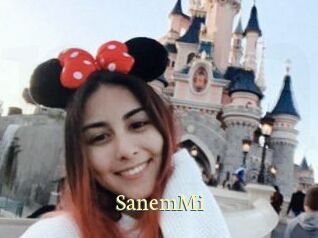 SanemMi Porn str8