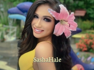 SashaHale Porn str8