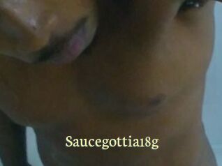 Saucegottia18g