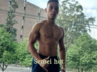 Sensei_hot