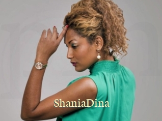 ShaniaDina Porn str8