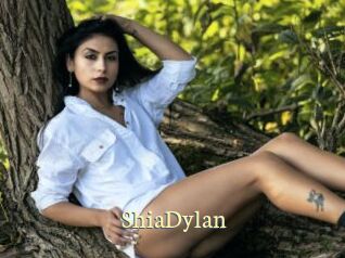 ShiaDylan Porn str8