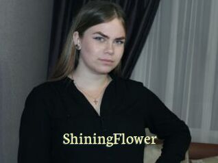 ShiningFlower Porn str8