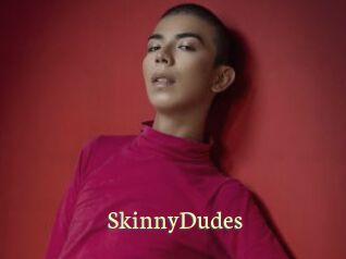 SkinnyDudes Porn str8
