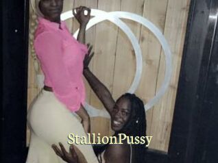StallionPussy Porn str8