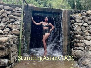 StunningAsianCOCK