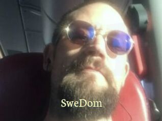 SweDom Porn str8