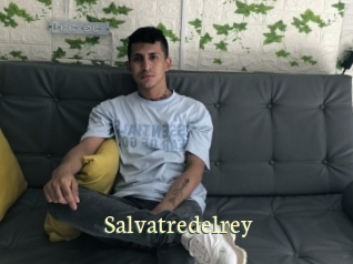 Salvatredelrey