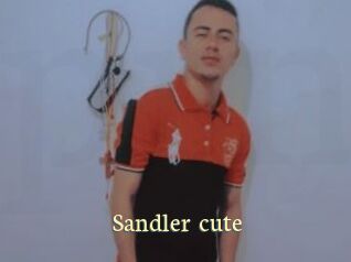 Sandler_cute