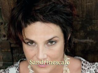 Sandrinescalo