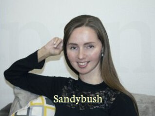 Sandybush