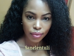 sanelentuli Porn str8