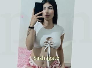 Sashagate
