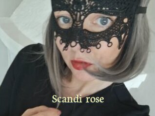 Scandi_rose