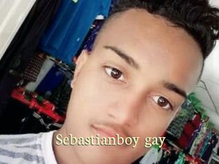sebastianboy_gay Porn str8