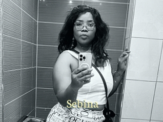 sebina Porn str8