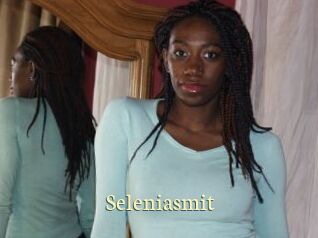 seleniasmit Porn str8