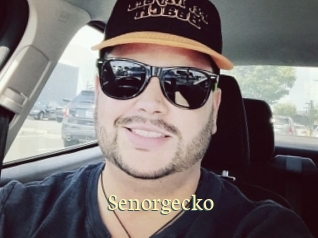 Senorgecko