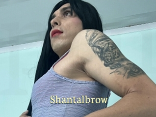 Shantalbrow