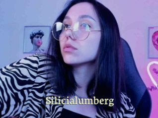 Silicialumberg