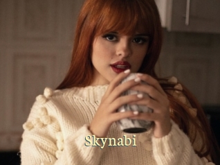 Skynabi