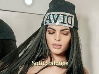 soficardenas Porn str8
