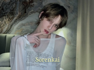 sorenkai Porn str8