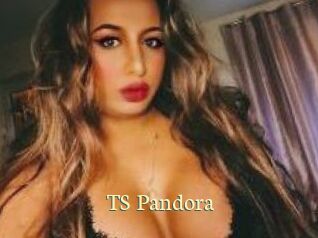 TS_Pandora