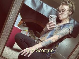 Tay_Scorpio Porn str8