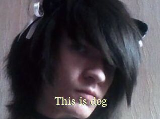 This_is_dog