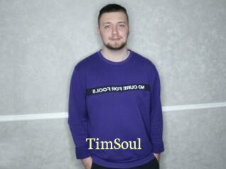 TimSoul