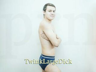 TwinkLargeDick Porn str8