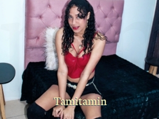 tamitamin Porn str8
