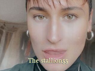 The_stallion55