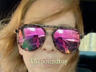 Thepoundtoy