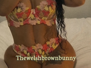 Thewelshbrownbunny