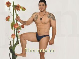 thormuscle1 Porn str8