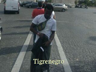 Tigrenegro