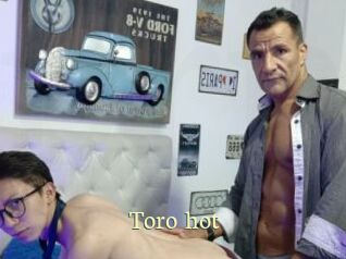 Toro_hot