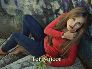 Torrymoor