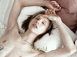torvald Porn str8