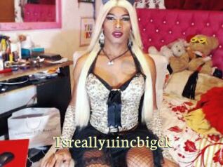tsreally11incbigck Porn str8