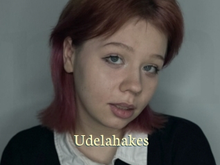 Udelahakes