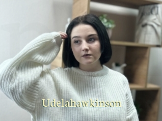 udelahawkinson Porn str8