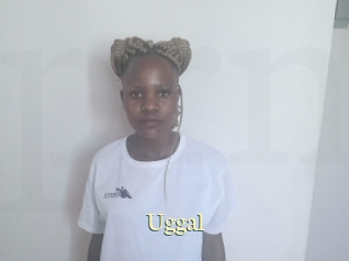 Uggal