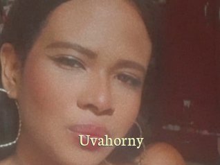 Uvahorny